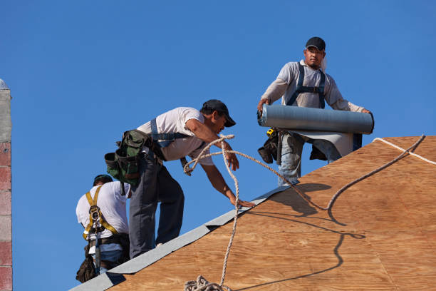 Best Gutter Installation and Roofing  in Altamont, KS